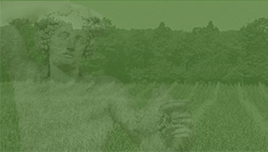 Ancient Greek Corn