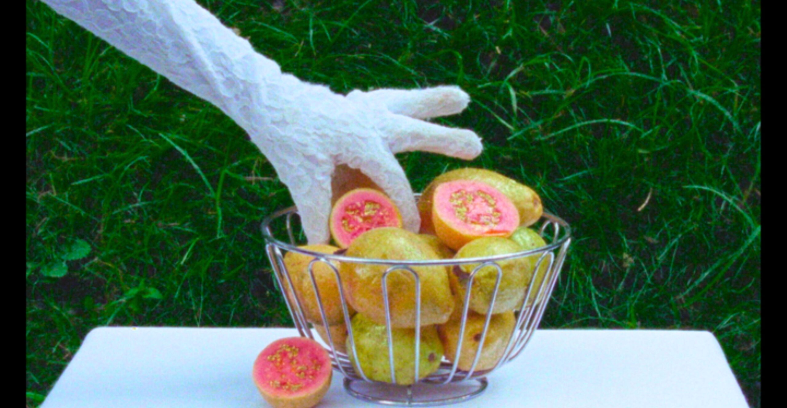 Guava and Other Tasty Fruits